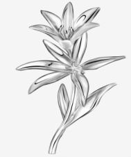 f054f8a2cf7906568620d757690715d0.png